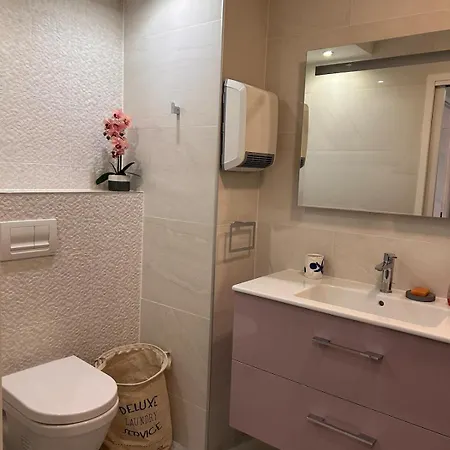 Appartement T2 Dans Avec Piscine Toulouse