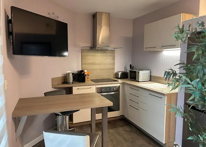 T2 Dans Avec Piscine Tuluza